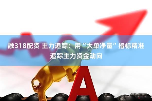 融318配资 主力追踪：用“大单净量”指标精准追踪主力资金动向