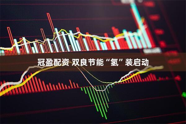 冠盈配资 双良节能“氢”装启动